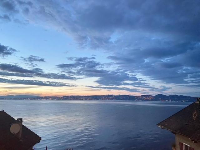 Bord De Lac,2 Chambres Superbe Vue Lac 5Mn Evian Lugrin Dış mekan fotoğraf